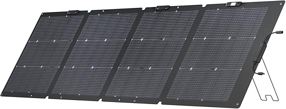 EcoFlow 220W Bifacial Panel